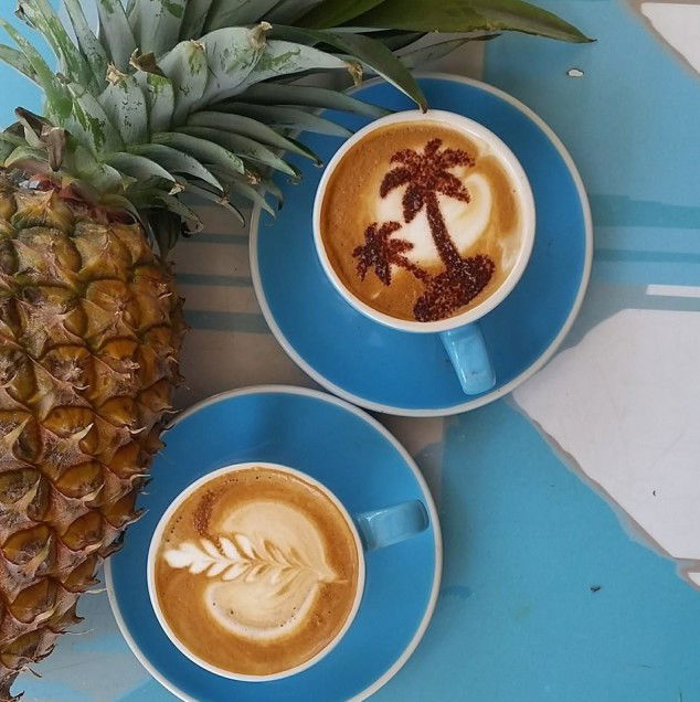 Cronulla NSW Accommodation Noosa