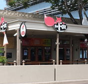 The Fox Ale House - Accommodation Noosa