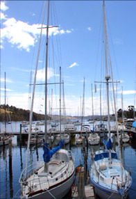  Accommodation Noosa