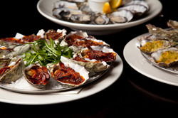 PJ O'Briens Irish Pub - Accommodation Noosa 2