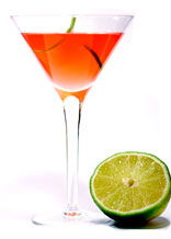 The Wicklow - Accommodation Noosa 0