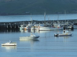Skenes Creek VIC Accommodation Noosa