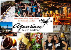 Aquarium - Accommodation Noosa 0