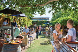 The Edinburgh Hotel And Cellars - Accommodation Noosa 0