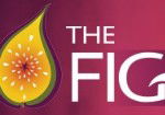 Pickled Fig - Accommodation Noosa 0