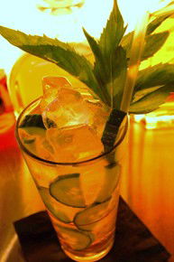 Goldfish - Accommodation Noosa 0