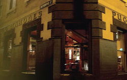 Pugg Mahones - Accommodation Noosa 1