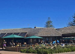 The Beach Hotel - Accommodation Noosa 1