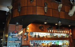 Safari Cocktail Bar - Accommodation Noosa 1