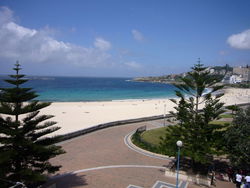 Aquarium - Accommodation Noosa 2