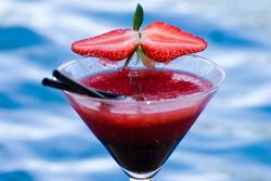 Blue Mango Wine Bar - Accommodation Noosa 2