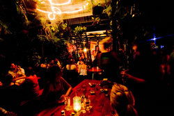 Greenant Cantina - Accommodation Noosa 2