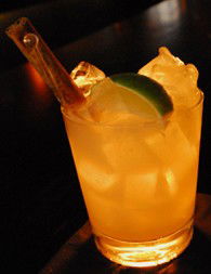 Goldfish - Accommodation Noosa 2