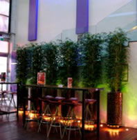 Leichhardt Hotel - Accommodation Noosa 3