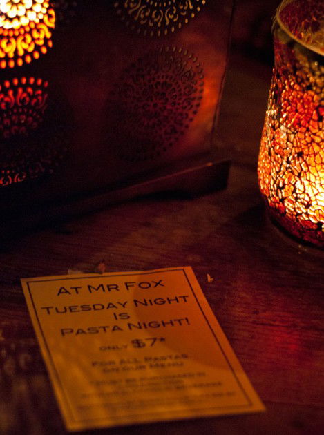 Mr Fox - Accommodation Noosa 3