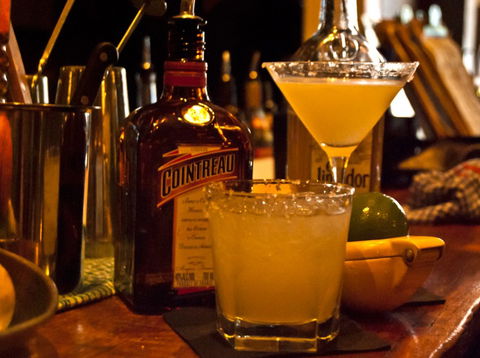 Mr Fox - Accommodation Noosa 4