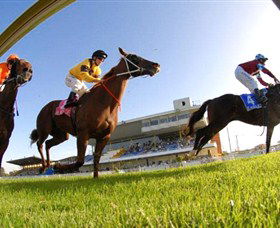 Wyong Race Club - Accommodation Noosa 0
