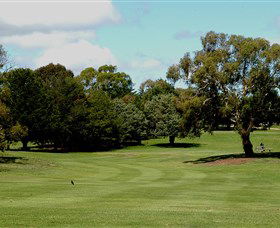 Cooma Golf Club - Accommodation Noosa 1