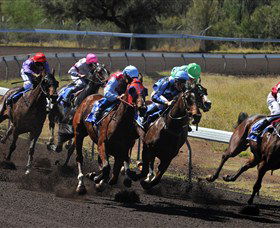 Ciccone NT Accommodation Noosa