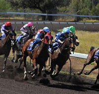 Alice Springs Turf Club - Accommodation Noosa