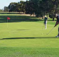 Waikerie Golf Club - Accommodation Noosa