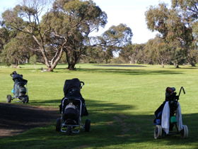 Minlaton Golf Club - Accommodation Noosa 3