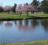 RMC Golf Club - Accommodation Noosa