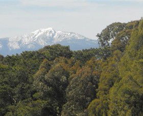 Mansfield Golf Club - Accommodation Noosa 3