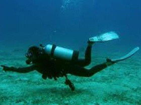 Wallaroo Scuba Club - Accommodation Noosa 1