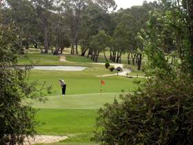 Mount Barker Springs SA Accommodation Noosa