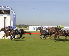 Kembla Heights NSW Accommodation Noosa