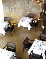 Flying Fish Bar - Accommodation Noosa 0