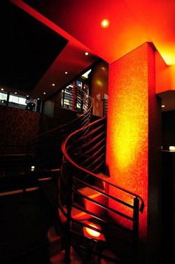 Bar Europa - Accommodation Noosa 3