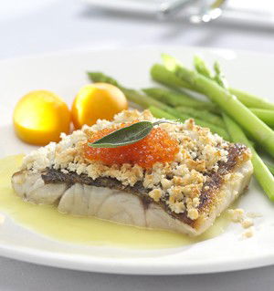 Waterfront - Accommodation Noosa 4