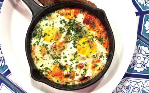 Xanthi - Accommodation Noosa 2