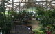 Limberlost Nursery & Garden Centre - thumb 1