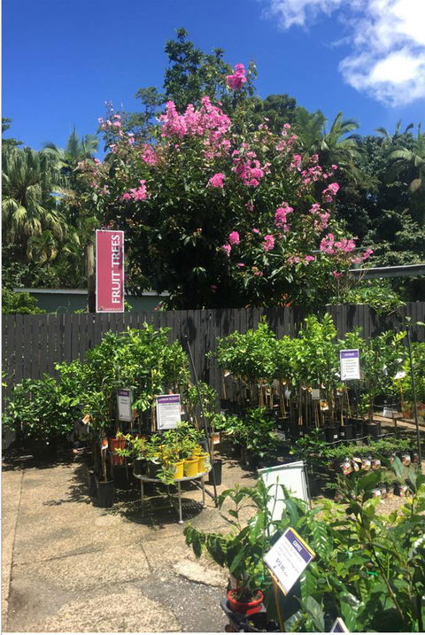 Limberlost Nursery & Garden Centre - Accommodation Noosa 3