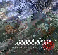 Antica Australis - Winter Fire Festival - Accommodation Noosa