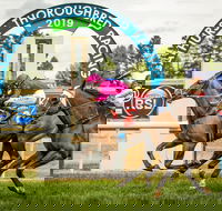 Bathurst Cup - Accommodation Noosa