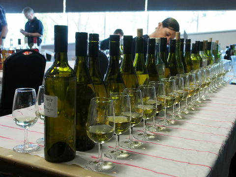 Eltham And District Wine Guild Annual Wine Show - 51st Annual Show - Accommodation Noosa 1