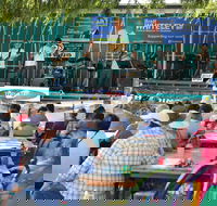 Festival in the Park - Accommodation Noosa
