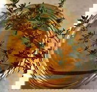 Online live streaming class DIY Skincare Products - Accommodation Noosa