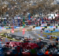 Supercars Supercheap Auto Bathurst 1000 - Accommodation Noosa