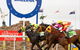 Ballina Boxing Day Races - thumb 0