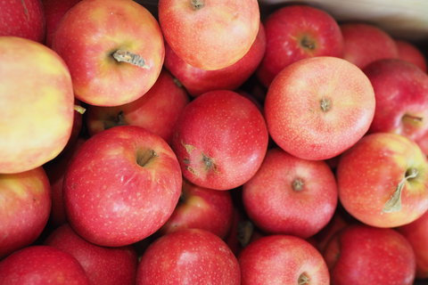 Blayney Farmers' Market - Accommodation Noosa 1