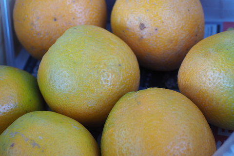 Blayney Farmers' Market - Accommodation Noosa 2