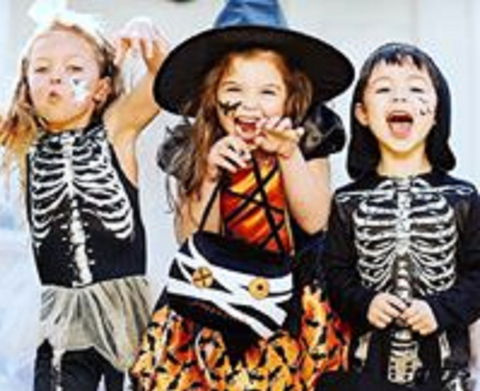 Boo! At The Zoo! - Accommodation Noosa 2