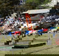 Carcoar Show - Accommodation Noosa