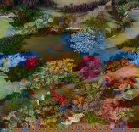 Glenrock Gardens Open Garden - Accommodation Noosa