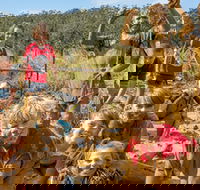 Mini Muddies Obstacle Challenge at Bunnamagoo Estate - Accommodation Noosa